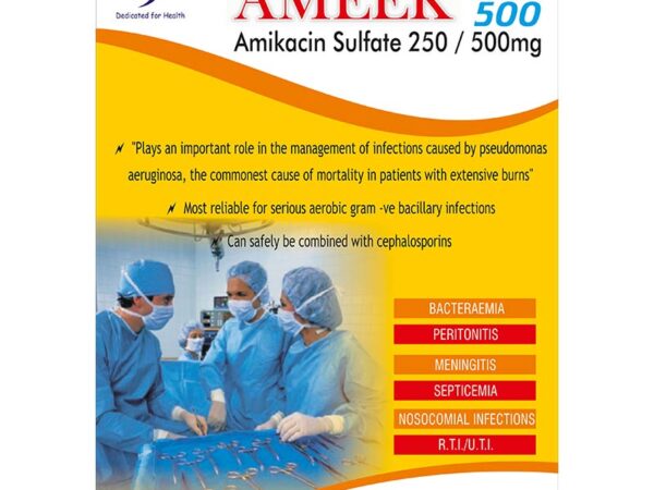AMEEK (Amikacin Sulfate 250/500 mg)